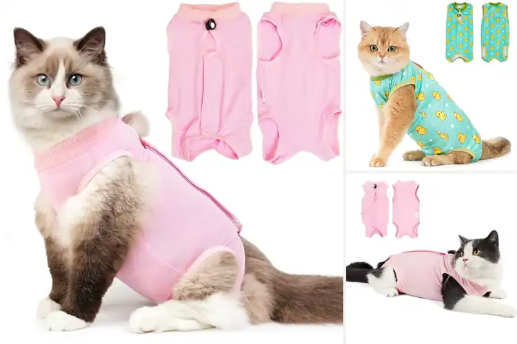 Detailed view of Best Cat Surgical Protection Suits
