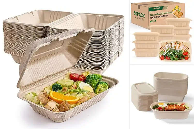 Detailed view of Best Compostable Food Containers
