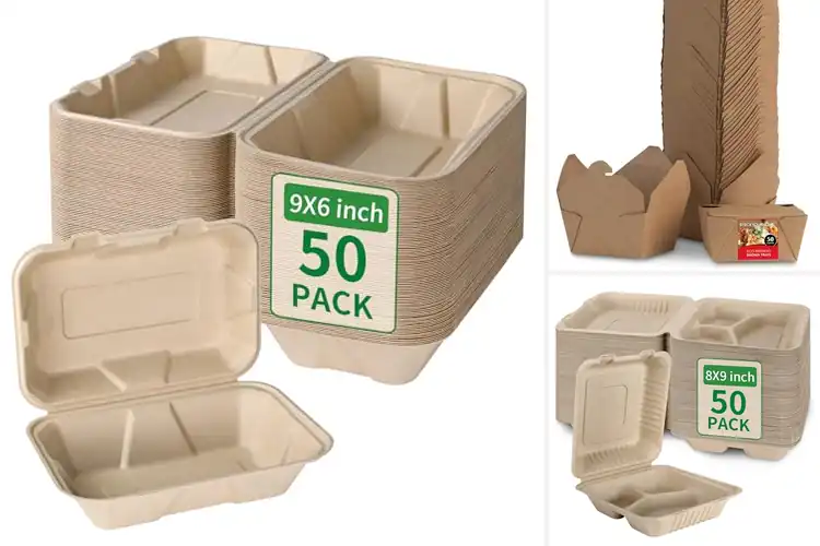 Detailed view of Best Disposable Takeout Boxes