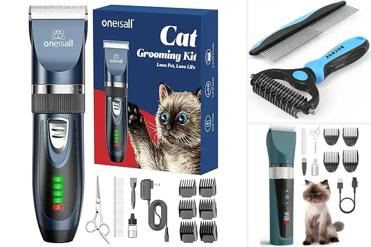 Detailed view of Best Grooming Tools for Cats