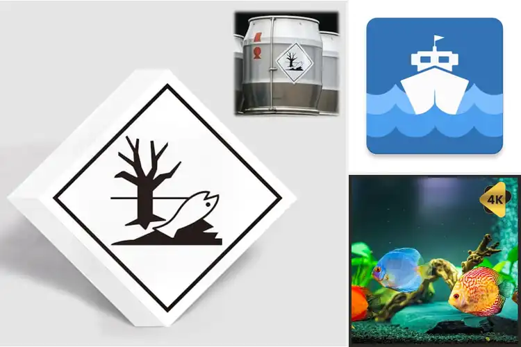 Detailed view of Best Marine Applications