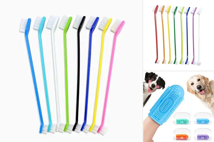 Detailed view of Best Pet Toothbrushes: Top Picks for Easy, Fun Dental Care