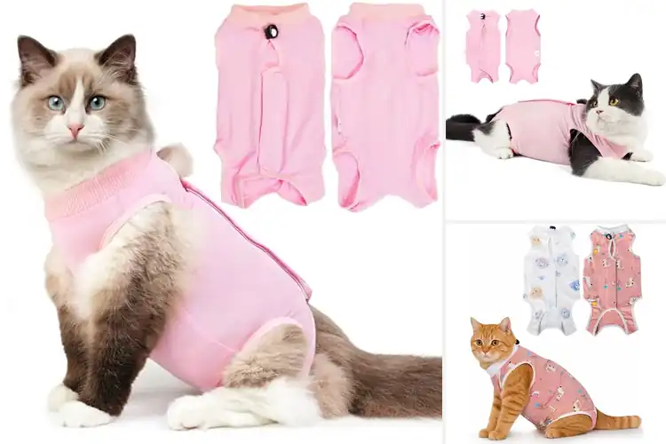 Detailed view of Best Post-Surgery Cat Onesie