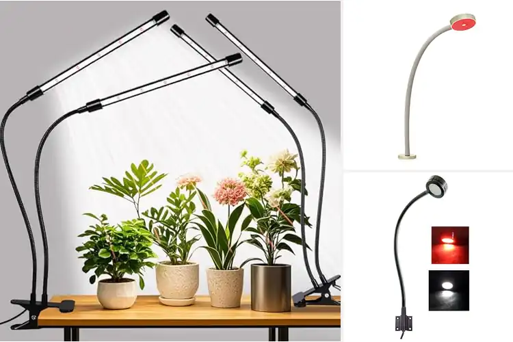Detailed view of Best Red White LED Gooseneck Lamps