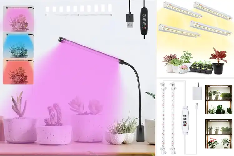 Detailed view of Best Red White Led Rack Lamps
