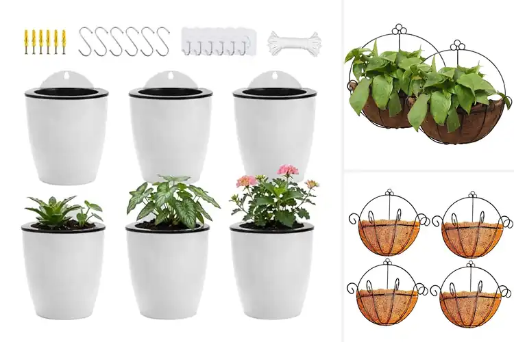 Detailed view of Best Wall Planters For Outdoor Plants